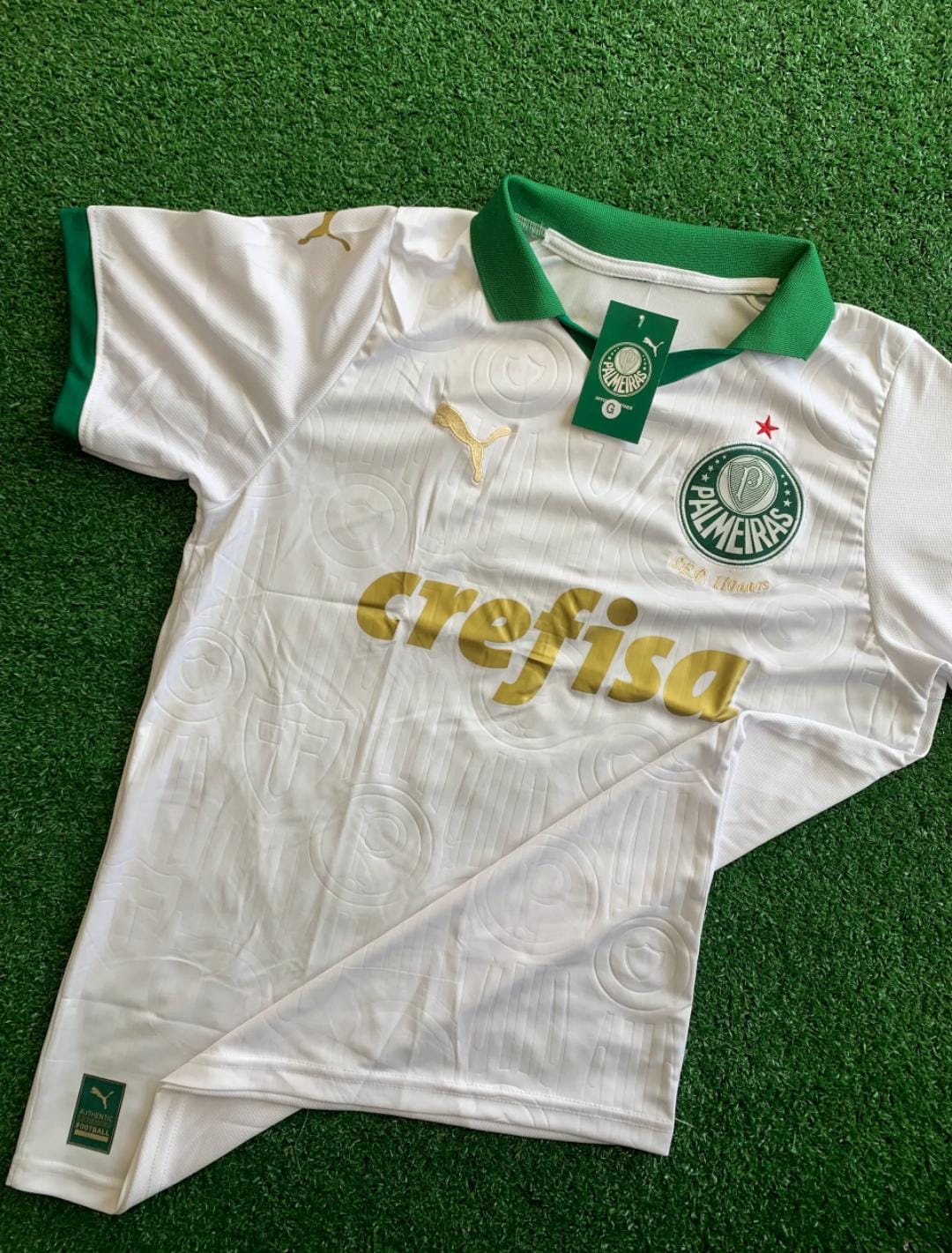 Palmeiras Edição Exclusiva